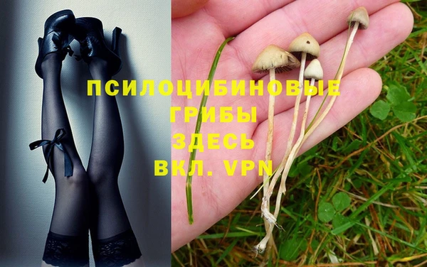 марки nbome Заводоуковск