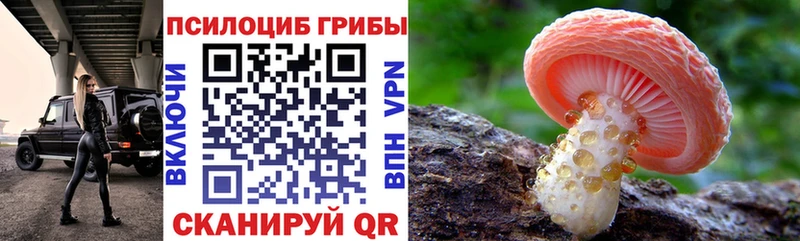 Купить  Железногорск-Илимский  Псилоцибиновые грибы мухоморы 